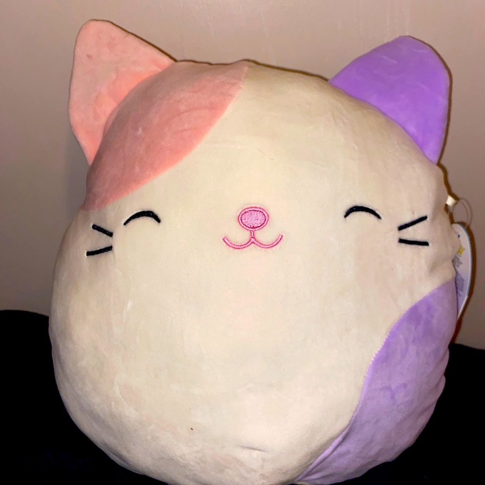 Brand new never squished 10 inch Carlotta pastel brand new with tags (BRAND NEW)